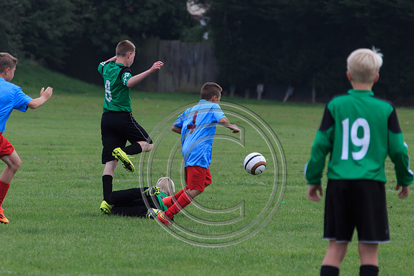 Eldon-2014 724