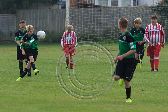 Eldon-2014 633