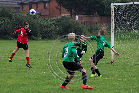 Eldon-2014 405
