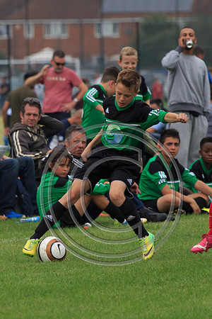 Eldon-2014 746