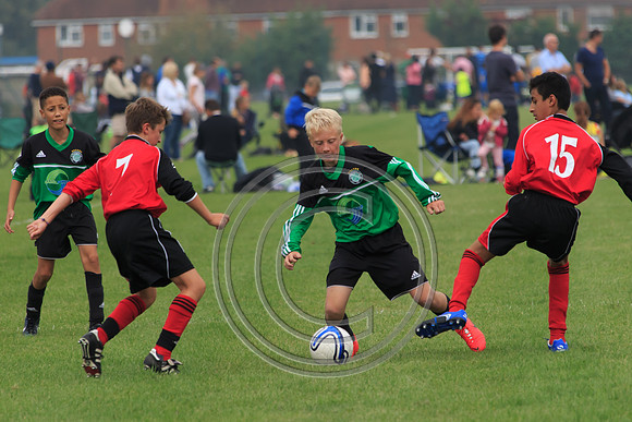 Eldon-2014 432