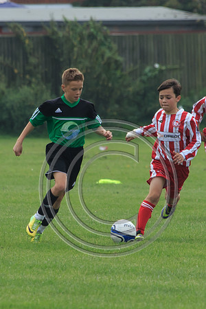 Eldon-2014 628