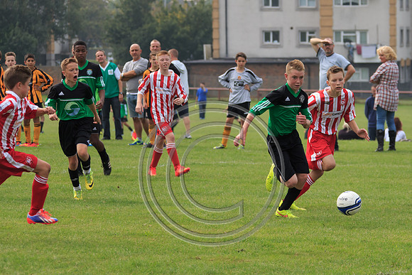 Eldon-2014 657