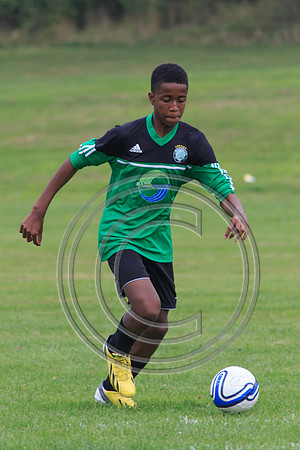 Eldon-2014 435