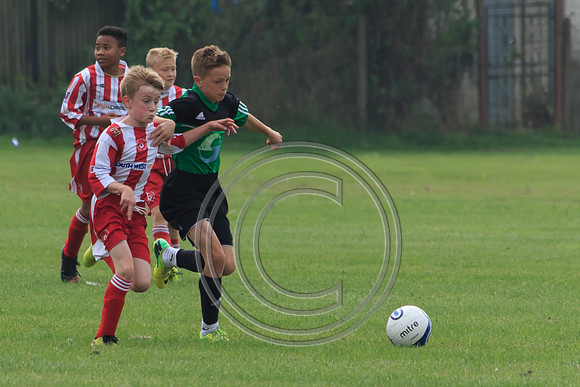 Eldon-2014 630