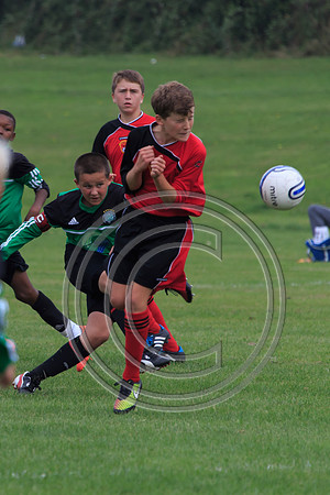 Eldon-2014 415
