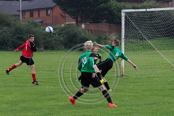 Eldon-2014 406
