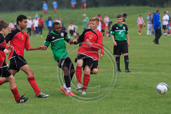 Eldon-2014 433