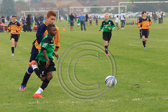 Eldon-2014 139