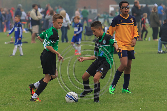Eldon-2014 129