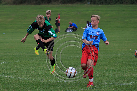 Eldon-2014 730