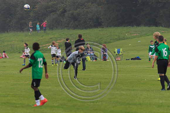 Eldon-2014 135
