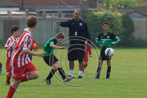 Eldon-2014 635