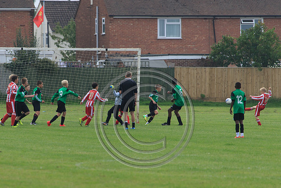 Eldon-2014 623