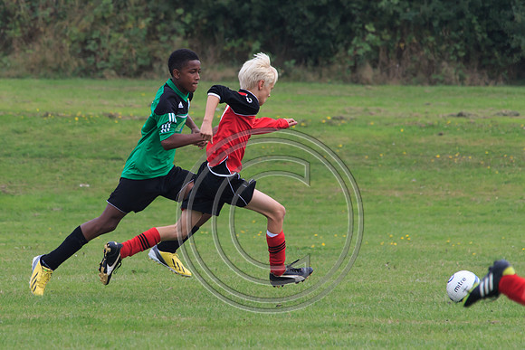 Eldon-2014 402