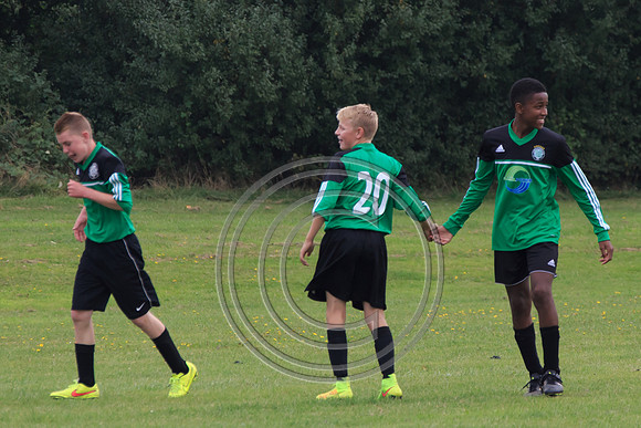 Eldon-2014 734
