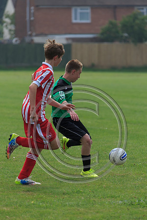 Eldon-2014 654