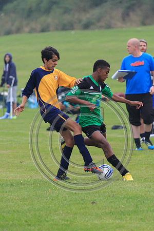 Eldon-2014 147