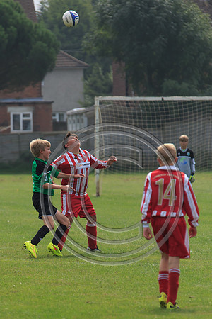 Eldon-2014 646