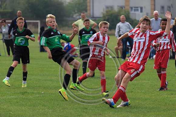 Eldon-2014 656