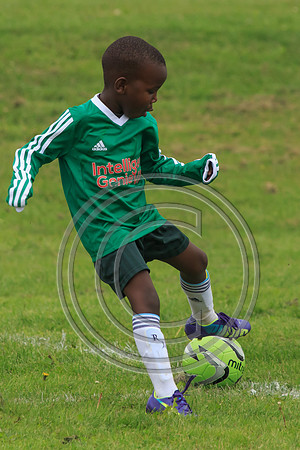 Eldon-2014 259