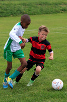 Eldon-2014 468