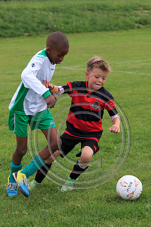 Eldon-2014 468