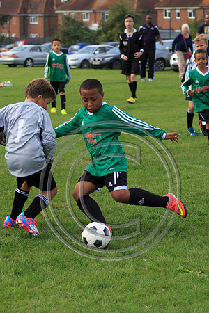 Eldon-2014 866