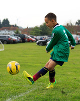 Eldon-2014 808