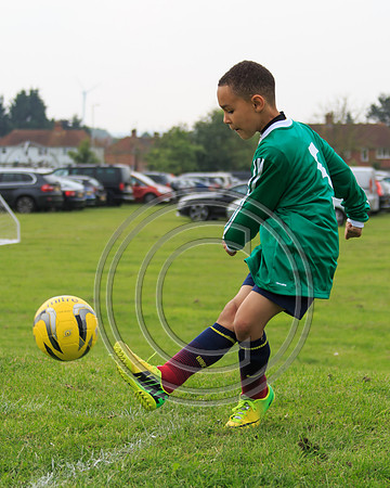 Eldon-2014 808