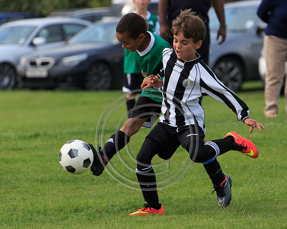 Eldon-2014 861