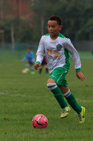 Eldon-2014 335