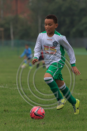 Eldon-2014 335