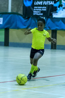 FT0515 (633)-3