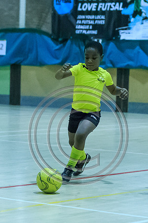 FT0515 (633)-3