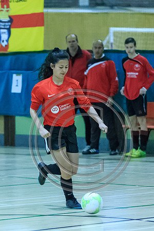 FT0515 (46)-2