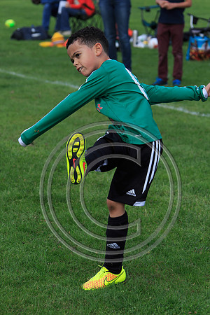 Eldon-2014 891