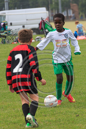 Eldon-2014 557