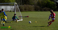120421 U7 Saints v Bracknell Town Robins