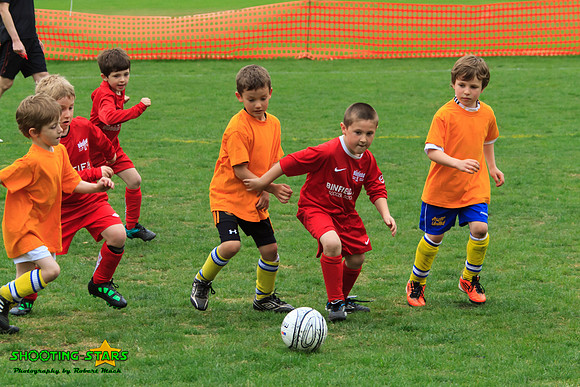 110416 Binfield Bnell Cavaliers Tourny1 271