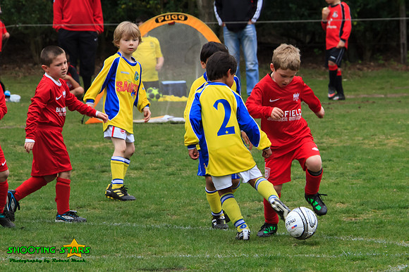 110416 Binfield Bnell Cavaliers Tourny1 456