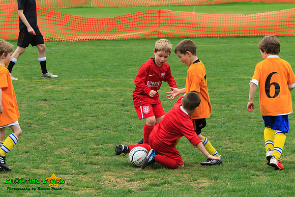 110416 Binfield Bnell Cavaliers Tourny1 269