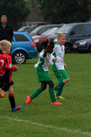 Eldon-2014 345