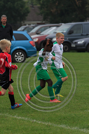 Eldon-2014 345