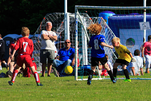 130629 Sandhurst Wanderers U8 at BTJ U9 Trny (496)