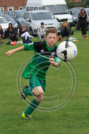 Eldon-2014 439