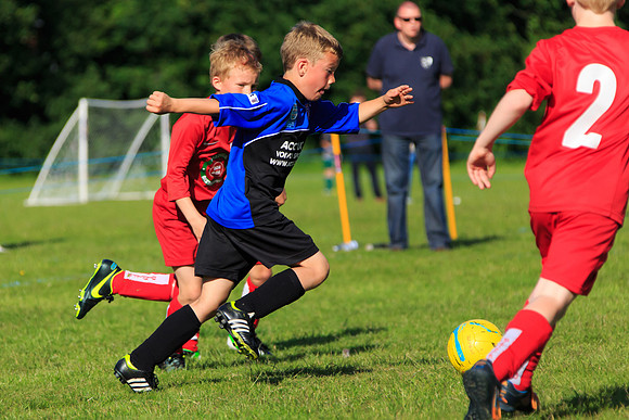 130629 Sandhurst Wanderers U8 at BTJ U9 Trny (581)