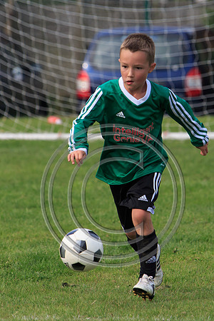 Eldon-2014 869