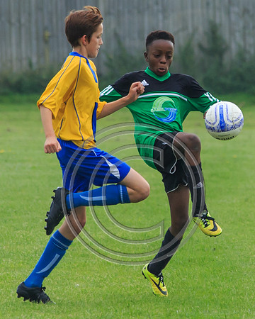 Eldon-2014 692