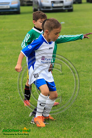 Eldon-2014 303